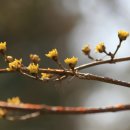 달빛마을 이미지