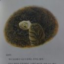 디딤돌 문고 이미지