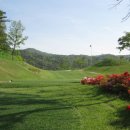 빛고을골프장 이미지