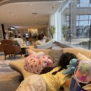 고바위들3 | 아이랑 웨이하이 여행 가볼만한 곳 아시아 최대규모 시샤코우 동물원 후기