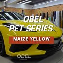 옐로우케어 | 광진랩핑 콜벳 랩핑 오벨(OBEL) MAIZE YELLOW 메이즈 옐로우 전체랩핑 후기