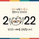 천수국수