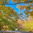 헤이독청주 | 문경새재 걷기 가볼만한 곳 오픈세트장 드라마촬영과 사과축제 단풍날씨
