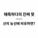 지종학교수님 산능선을 비유하는 말 해죽하다 뜻 이미지
