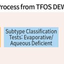 증상 단계별 치료전략과 사용약물 안구건조증과 영양관리 ＜2＞ 이미지