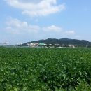 대박4농장 이미지