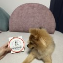 멍이방앗간 이미지