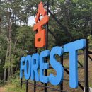 THE 숨 FOREST 이미지