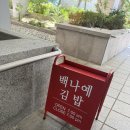 분당-74 | [성남/서현동] 성남 분당 김밥 맛집 ‘백나예김밥’ 내돈내산 후기