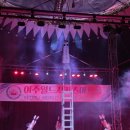 (주)여수월드서커스 아트홀 | 여수가볼만한곳 '여수월드서커스아트홀' 할인정보꿀팁. 여수애견동반가능 내돈내산