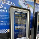 강화씨사이드카페테리아 | [강화도] 서울 근교 데이트 추천 강화씨사이드리조트 루지 주말 후기(가격, 할인, 주차)