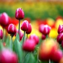 월드비전노인주간보호센터 이미지