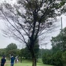 파주 J-Public 골프장 이미지