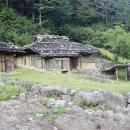 삼척 너와마을 Daum카페
