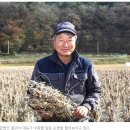 전농영농조합법인 이미지