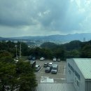 영천시농업기술센터_유기동물보호소 | 경기도 유기견 봉사활동 자세한 후기 양평군 품 유기동물센터