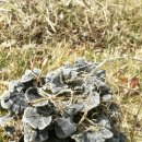 햇터농장 이미지