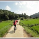 향수100리길 이미지