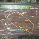 동백동산 이미지