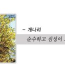 군산금광초등학교 이미지