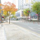 중로(보)2-1-6 이미지