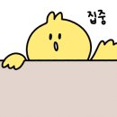케어컴