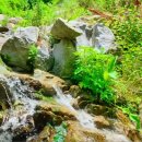 쉼터농장 이미지