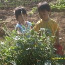 태인농장3 이미지