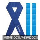 동성아이앤씨