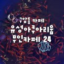 구암역 버스정류장 | [대전/구암동] 카페 안에서 수조를 만나다 : 유성아쿠아리움 무인카페24