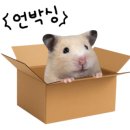 도쉼 이미지