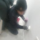 강남동물병원 이미지