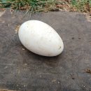 기봉농장 이미지