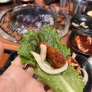 좋아좋아숯불갈비 이미지