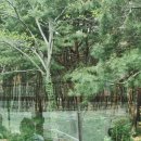 강릉고 입구(버스정류장) 이미지