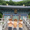 스테이모텔 | "1박에 90만원? 미쳤다!" BTS 부산 콘서트 바가지 폭격에 스님들이 빡쳐서 절 문 열어버린 사연