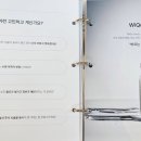위노스킨