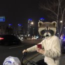 그래도완참치 이미지