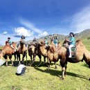 우정태권도교육관 이미지