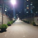 강남스마트