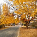 공주교도소부속의원 이미지