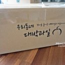 우리동네대박과일