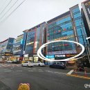 행복한 태권 스쿨 이미지