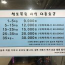 소울메이독 이미지