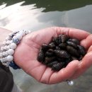 웰컴투오미골 이미지