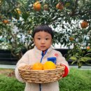 튼튼이농장 이미지