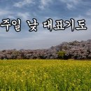 6월 첫째주 주일 낮예배 대표기도예문 모음 이미지