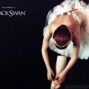 성인 토슈즈 이미지