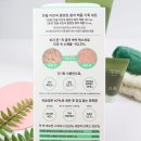 바른기획 | 한율 쑥떡팩폼 올리브영 기획세트 내돈내산 후기~ 피지흡착 클폼 + 헤어밴드