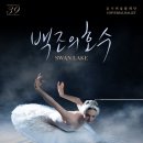 유니버설발레단 <백조의 호수> 이미지
